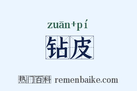 钻皮是什么意思的图片